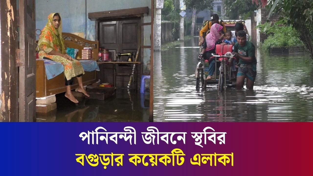 টানা বৃষ্টিতে বগুড়ার সবুজবাগ এলাকা প্লাবিত, পানিবন্দী বাসিন্দারা